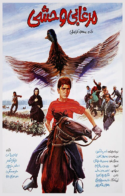 مرغابی وحشی