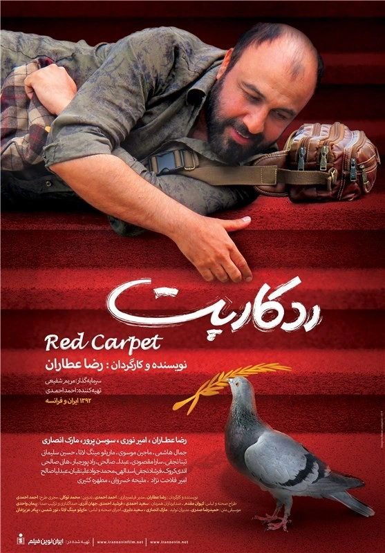 رد کارپت