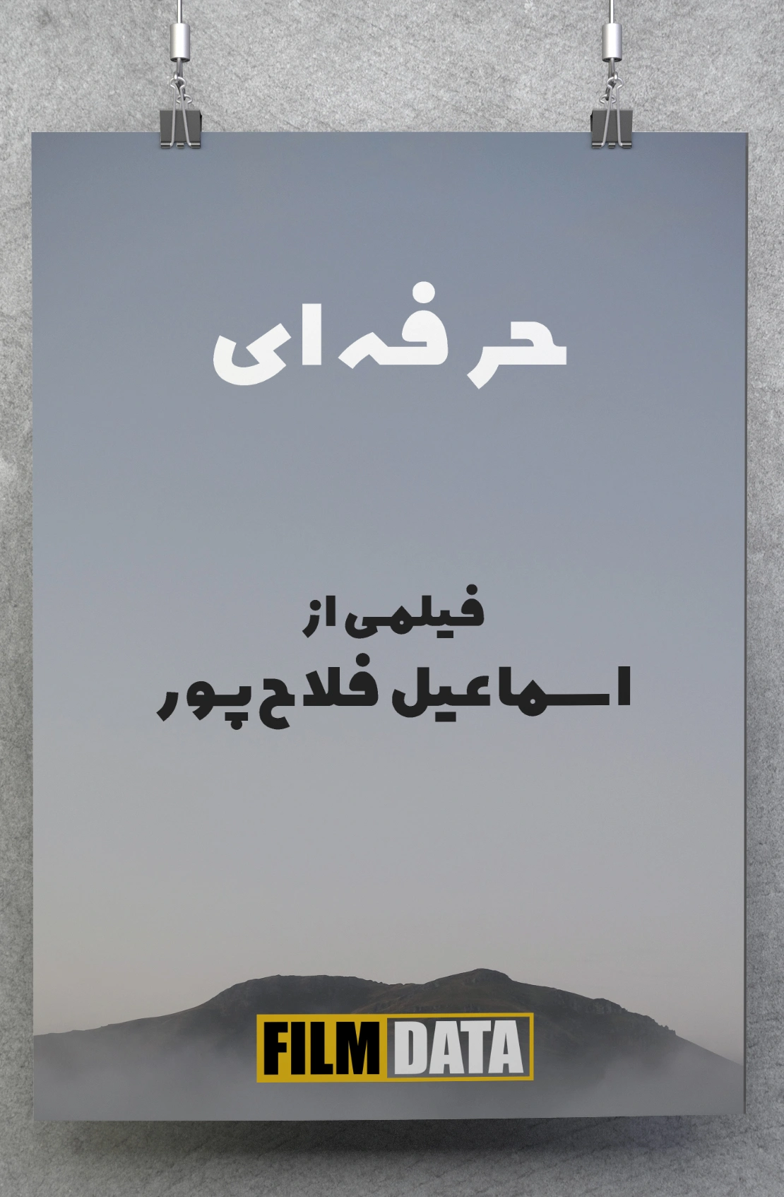 حرفه‌ای